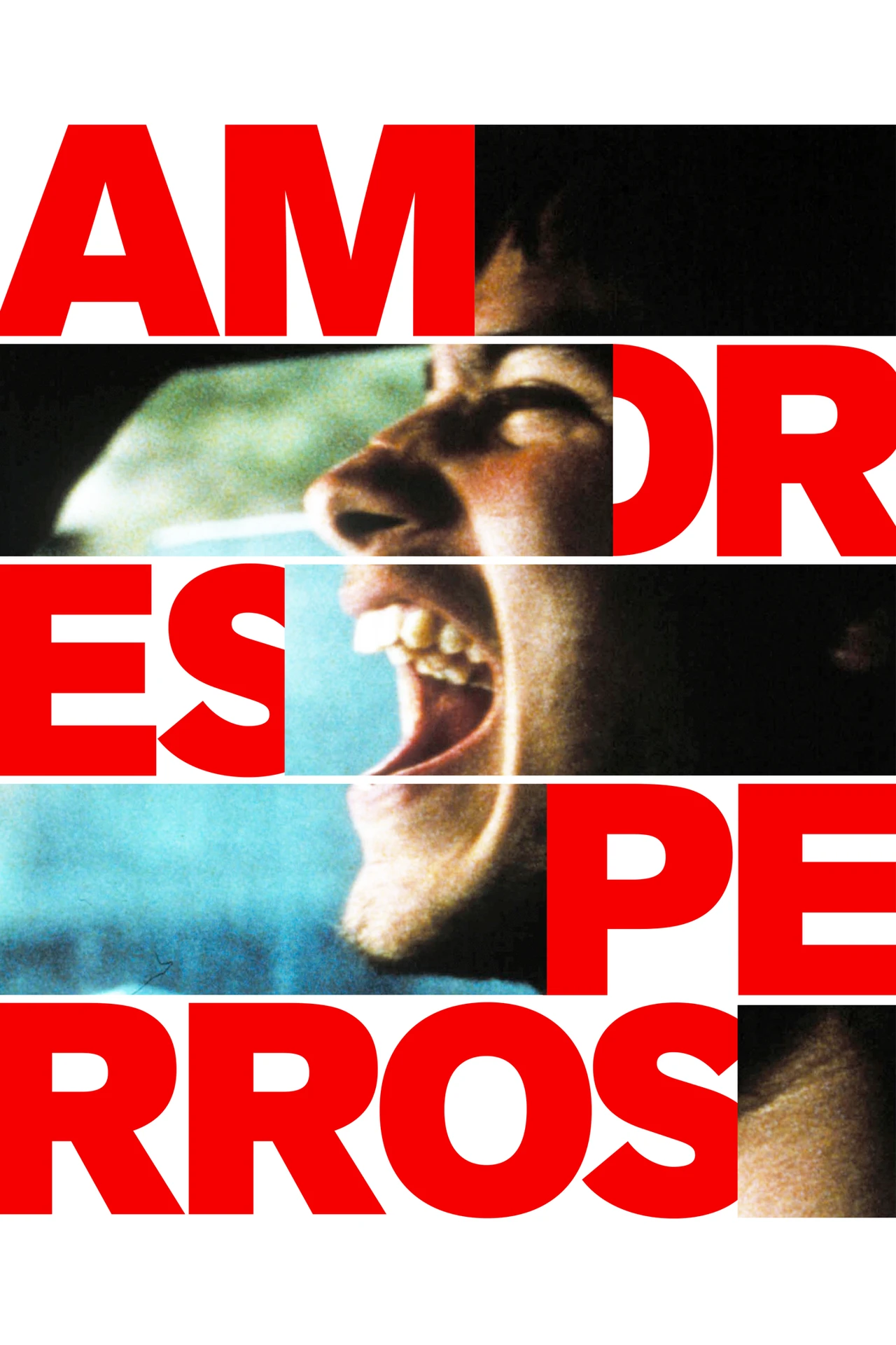 Amores perros perros 2